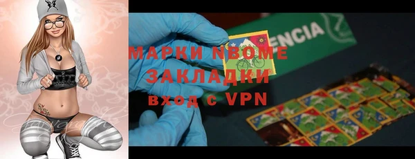 стаф Козельск