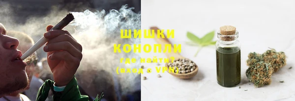 стаф Козельск