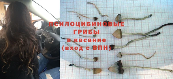 соль курить ск Козловка