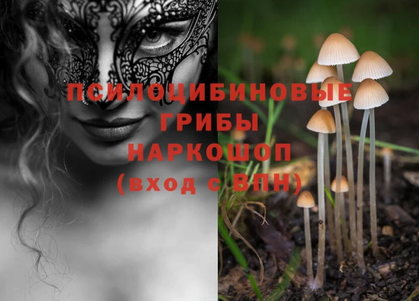 jwh Кодинск