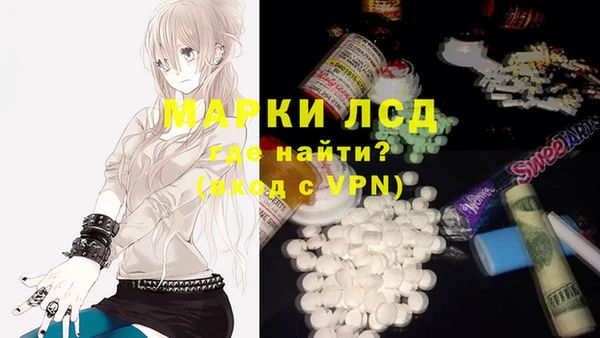стаф Козельск