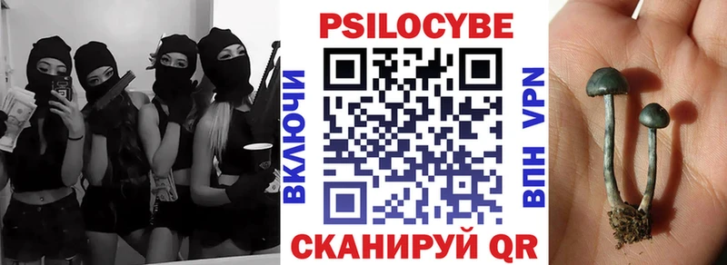 Псилоцибиновые грибы Psilocybine cubensis  Кисловодск 